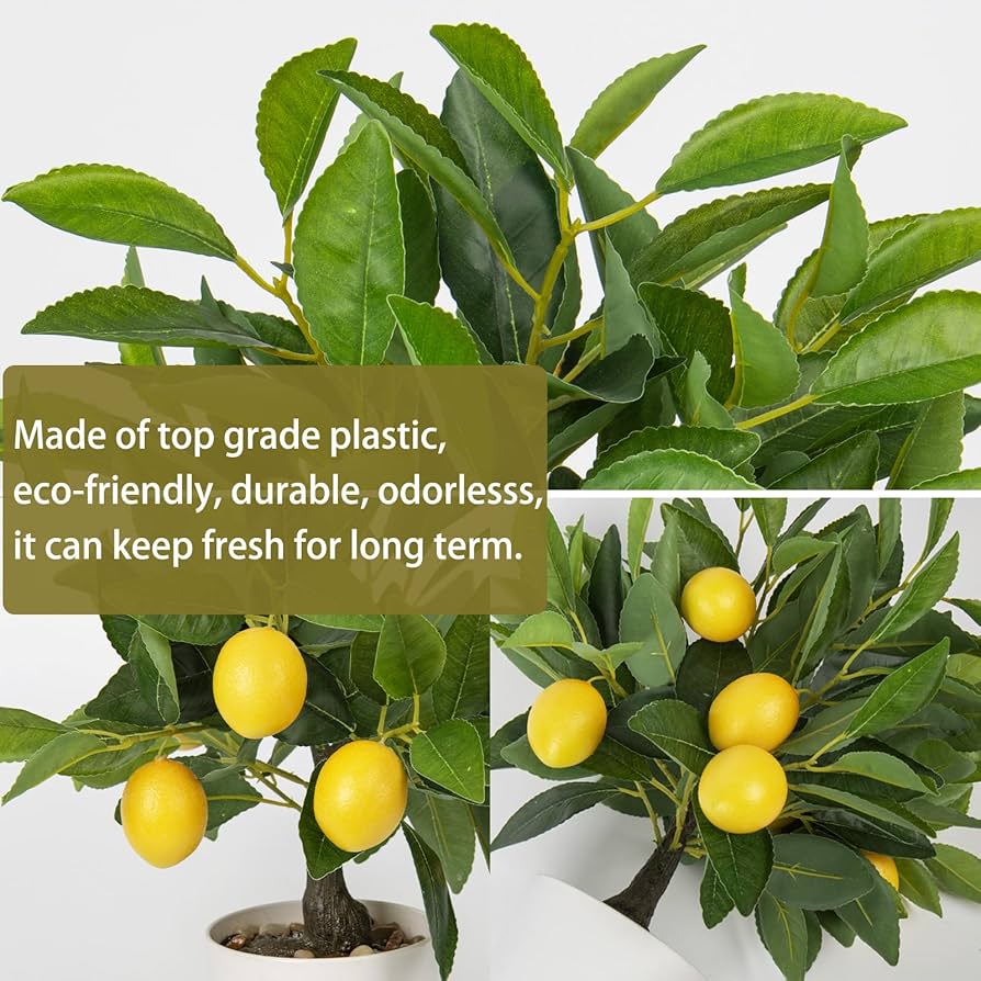 lemon✴︎ 578953.jpg